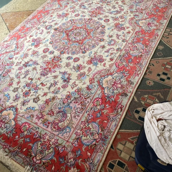 Irani Shahi 1
